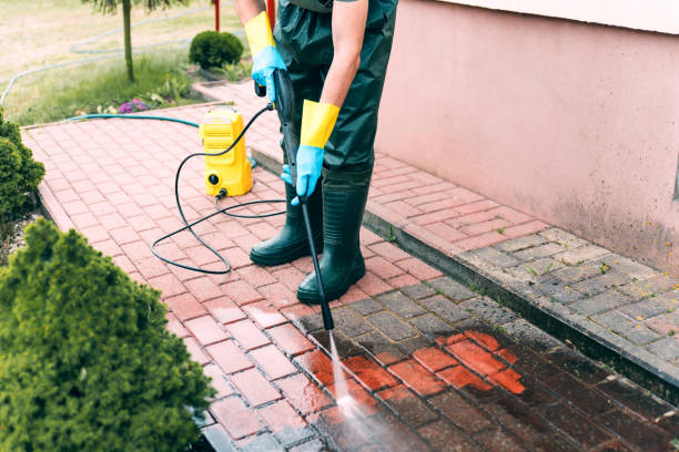 Best Roof Washing  in Pacheco, CA